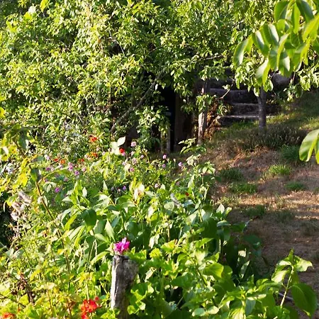 Horizontes Serranos Vakantiehuis Tondela