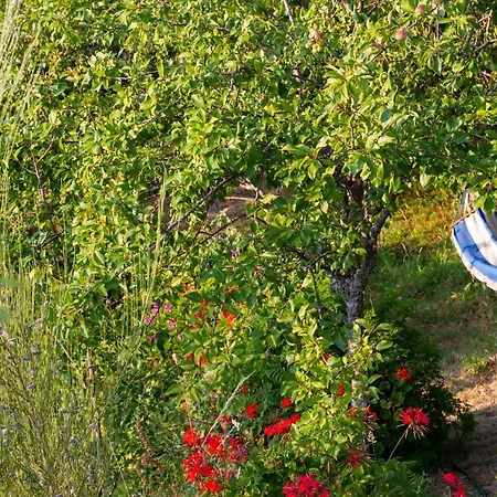 Horizontes Serranos Tondela