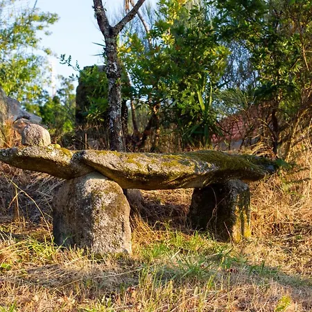 Horizontes Serranos * Tondela