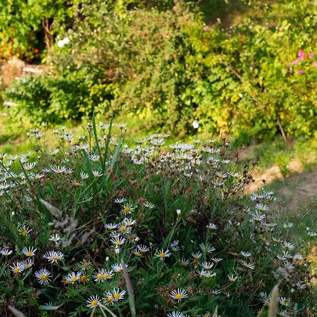 Horizontes Serranos Vakantiehuis