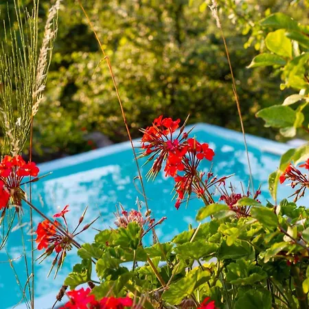 Horizontes Serranos Tondela