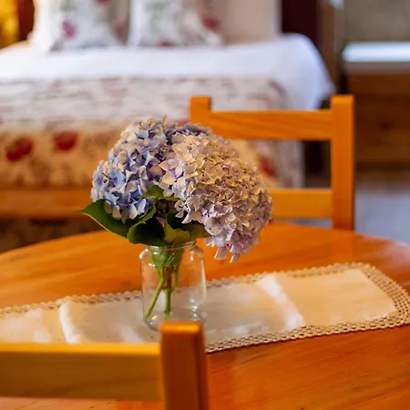 Vakantiehuis Horizontes Serranos Tondela