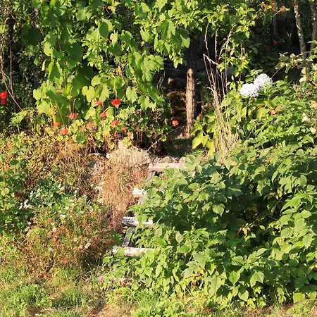 Horizontes Serranos Vakantiehuis Tondela