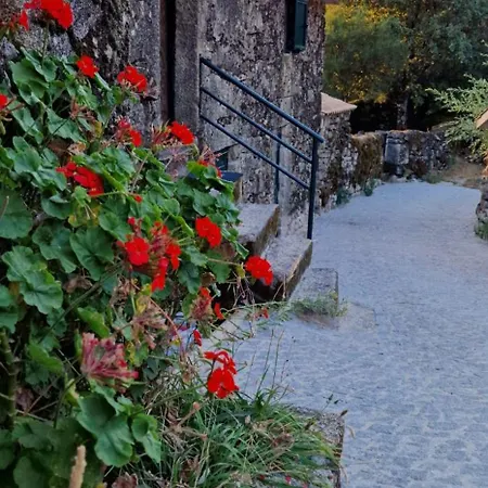 Vakantiehuis Horizontes Serranos Tondela