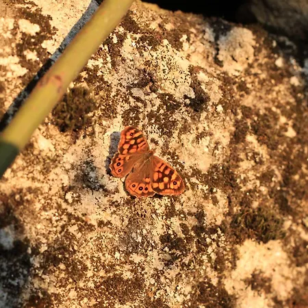 Horizontes Serranos Vakantiehuis