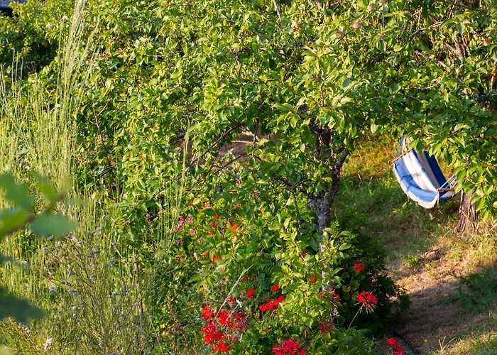 Horizontes Serranos Tondela