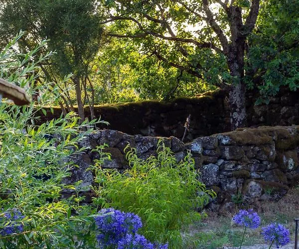 Horizontes Serranos * Tondela