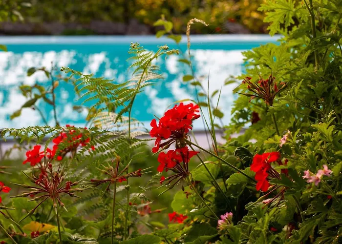 Horizontes Serranos Hébergement de vacances