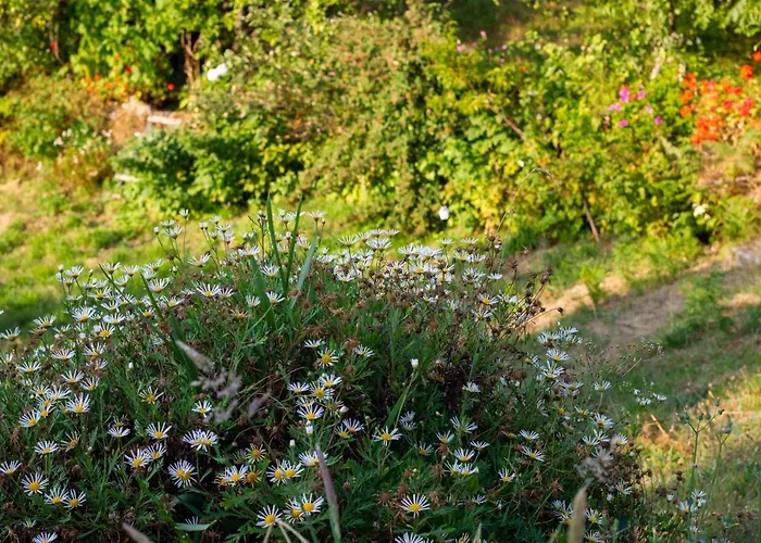 Horizontes Serranos Hébergement de vacances
