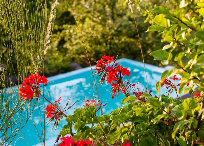 Horizontes Serranos Tondela