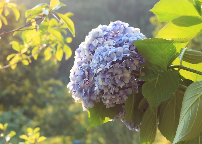 Horizontes Serranos *