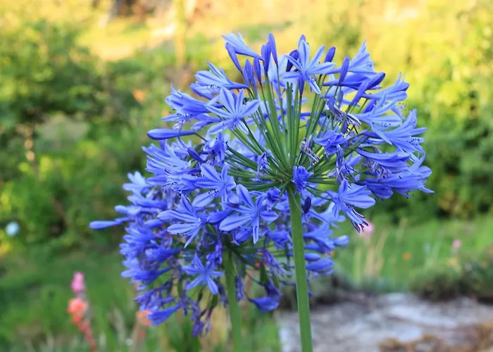 Horizontes Serranos Hébergement de vacances Tondela
