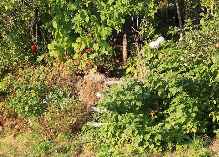 Horizontes Serranos Hébergement de vacances Tondela