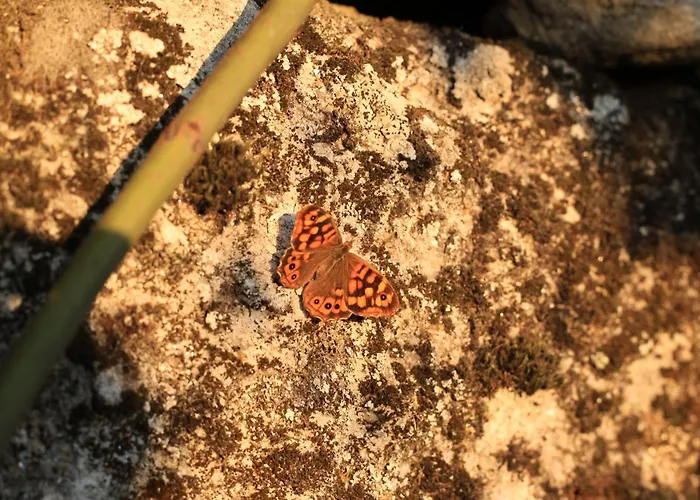 Horizontes Serranos Hébergement de vacances